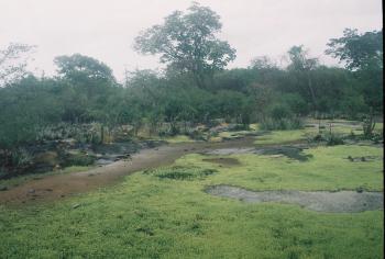 Parque Mata Seca